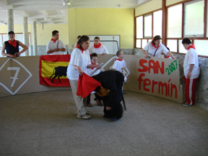 Momento de la Corrida de toros después de los encierros.